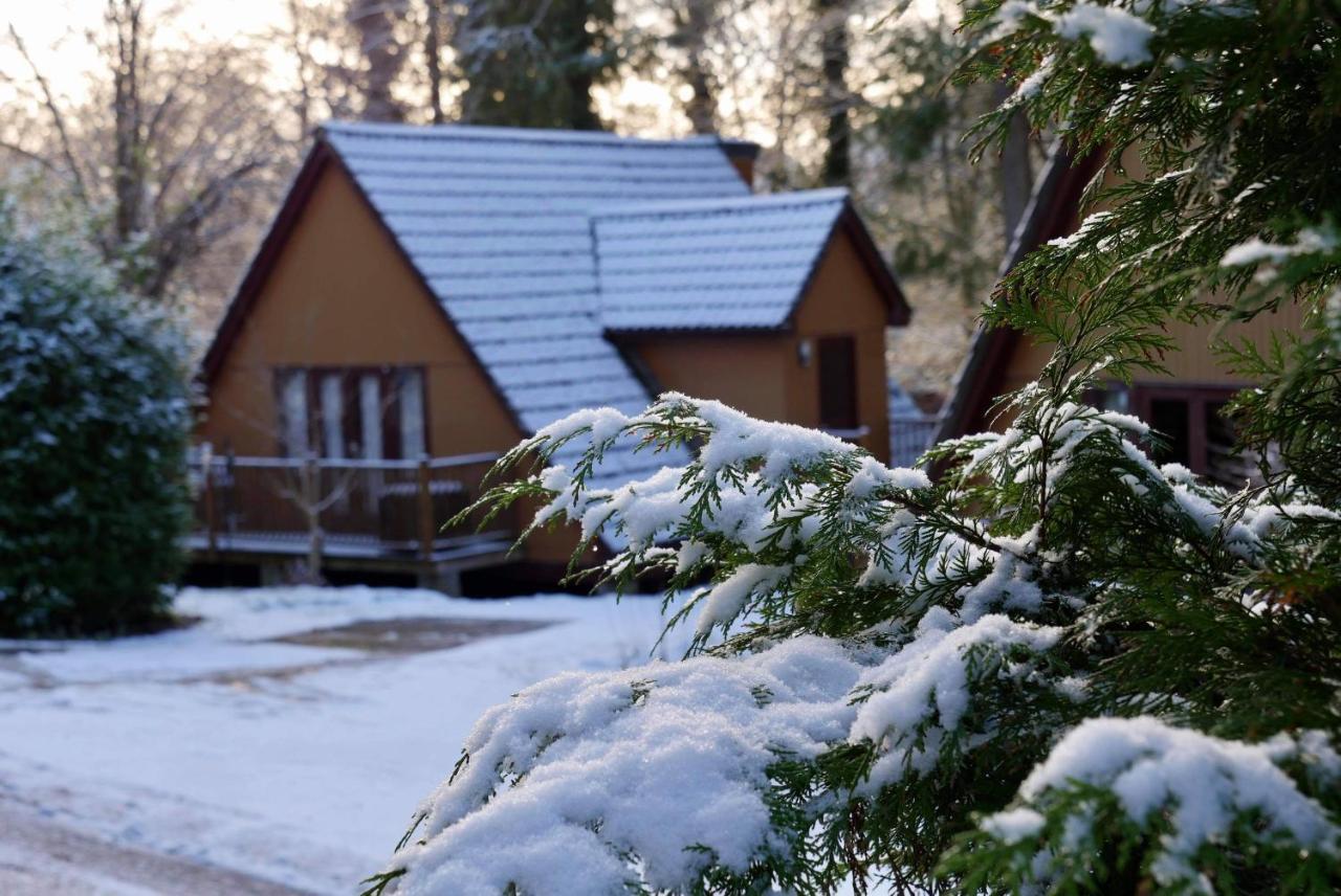 Ericht Holiday Lodges Blairgowrie and Rattray المظهر الخارجي الصورة