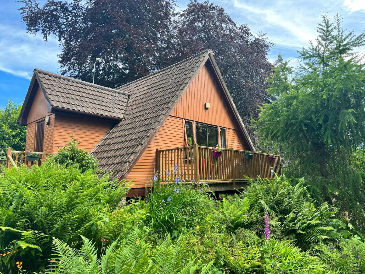 Ericht Holiday Lodges Blairgowrie and Rattray المظهر الخارجي الصورة